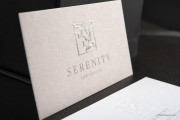 Classy embossed silver foil template 3